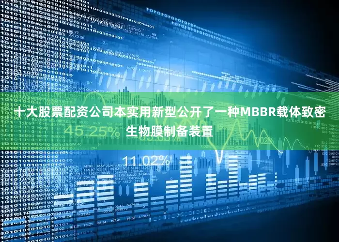 十大股票配资公司本实用新型公开了一种MBBR载体致密生物膜制备装置