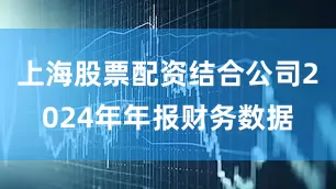 上海股票配资结合公司2024年年报财务数据
