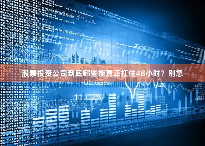 股票投资公司到底哪些能真正扛住48小时？别急