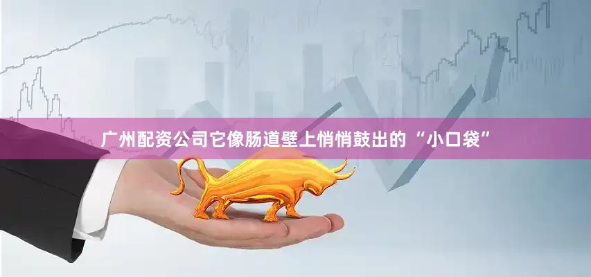 广州配资公司它像肠道壁上悄悄鼓出的 “小口袋”
